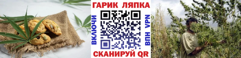 где продают наркотики Иваново Cannafood конопля