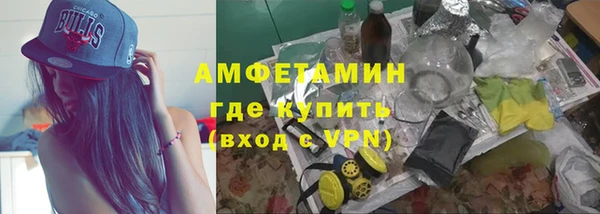 индика Бронницы