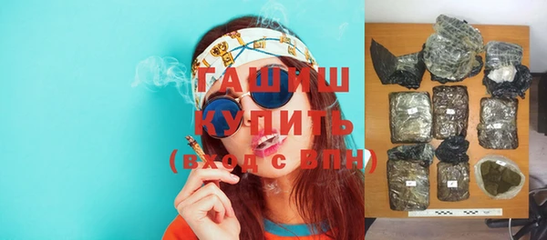 индика Бронницы