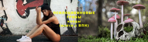 ПСИЛОЦИБИНОВЫЕ ГРИБЫ Бугульма
