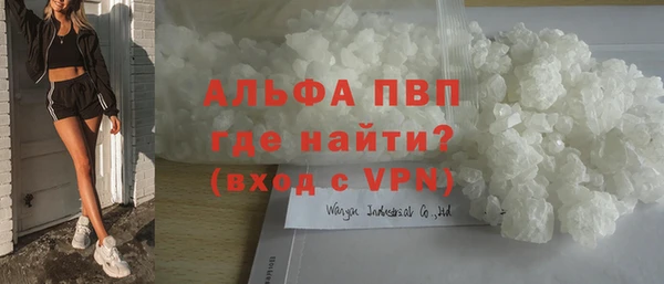 индика Бронницы