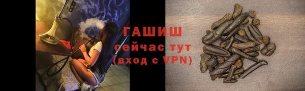 индика Бронницы