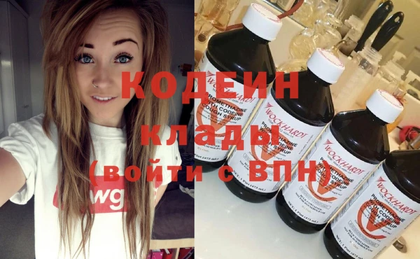 индика Бронницы