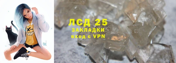 индика Бронницы