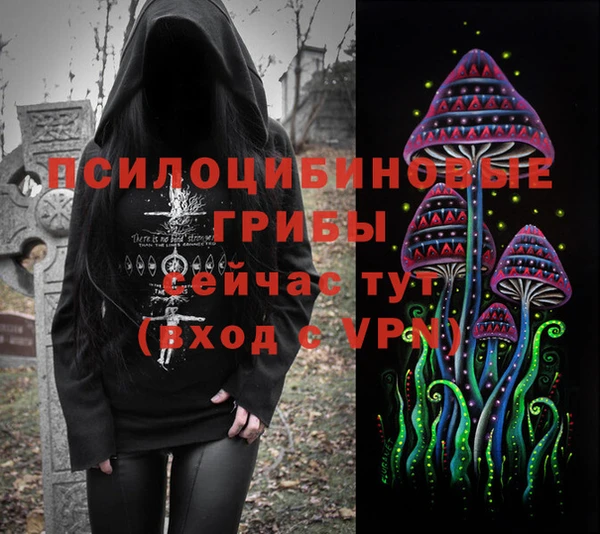 ПСИЛОЦИБИНОВЫЕ ГРИБЫ Бугульма