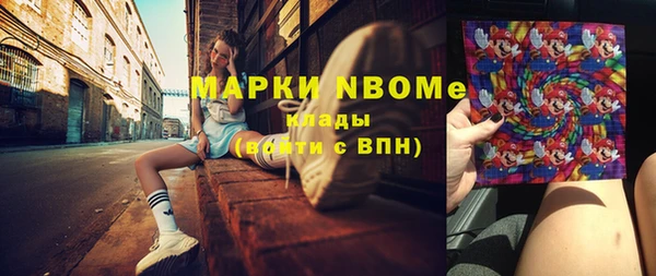 индика Бронницы