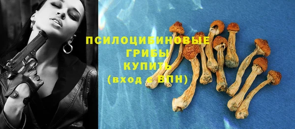 индика Бронницы