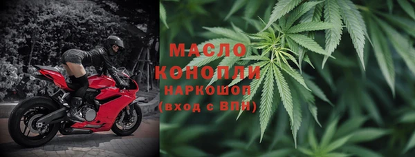 индика Бронницы