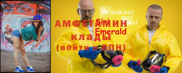 индика Бронницы